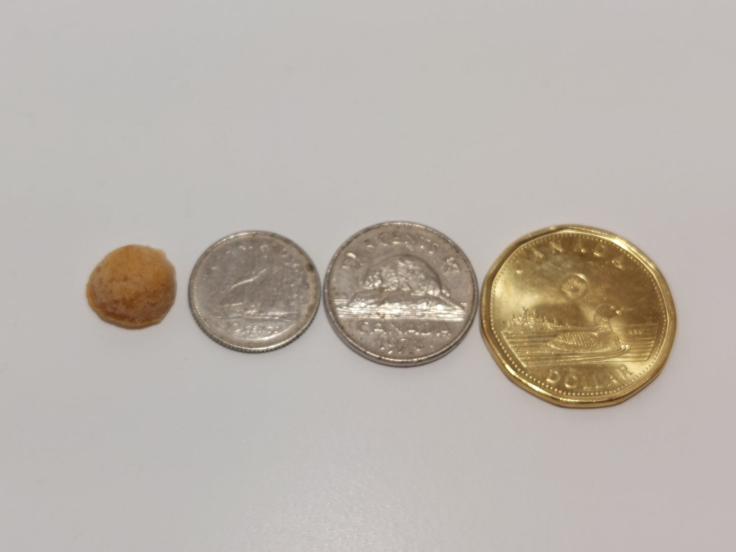 Training Treats Round Shape